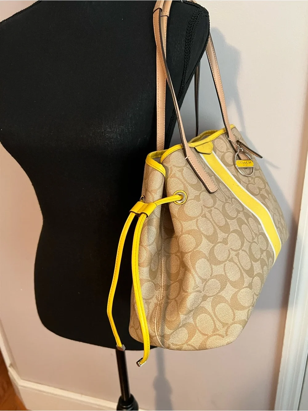 Coach Signature Stripe Drawstring Carryall Leather Shoulder Bag
